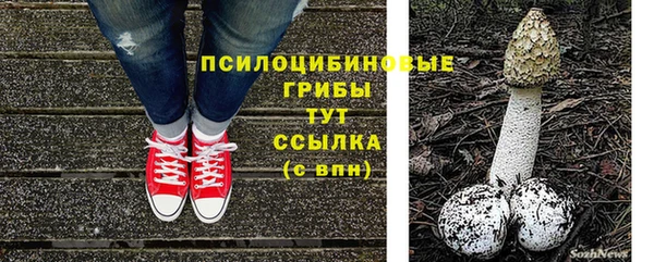 мяу мяу мука Абинск